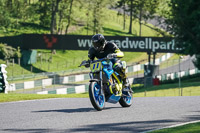 cadwell-no-limits-trackday;cadwell-park;cadwell-park-photographs;cadwell-trackday-photographs;enduro-digital-images;event-digital-images;eventdigitalimages;no-limits-trackdays;peter-wileman-photography;racing-digital-images;trackday-digital-images;trackday-photos